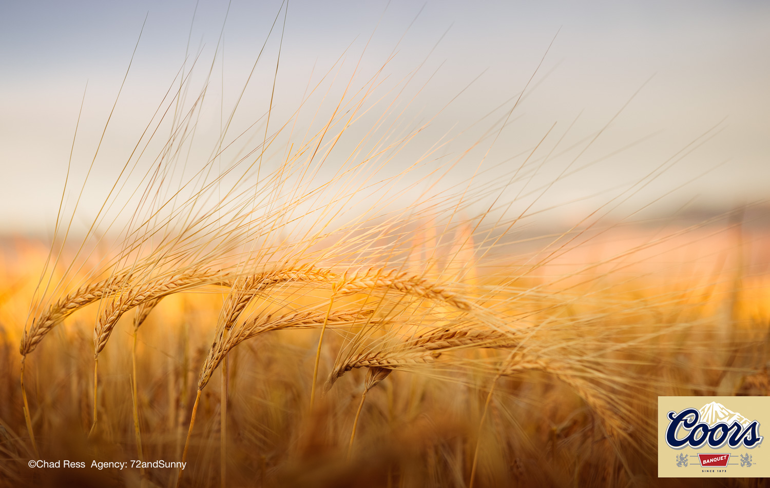 RESS_COORS_BARLEY_2a