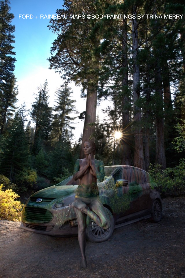 Sequoia-National-Forest-Car-bodypaint-Trina-Merry-640x959